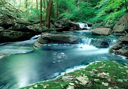 wp2797792-full-hd-pc-wallpaper-nature
