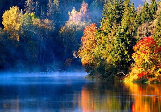 wp2964115-best-hd-wallpapers-nature