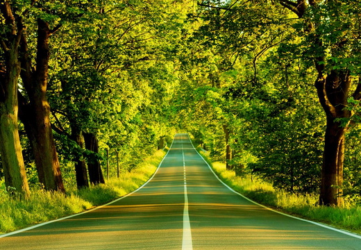 wp2985545-pc-wallpaper-nature-full-size